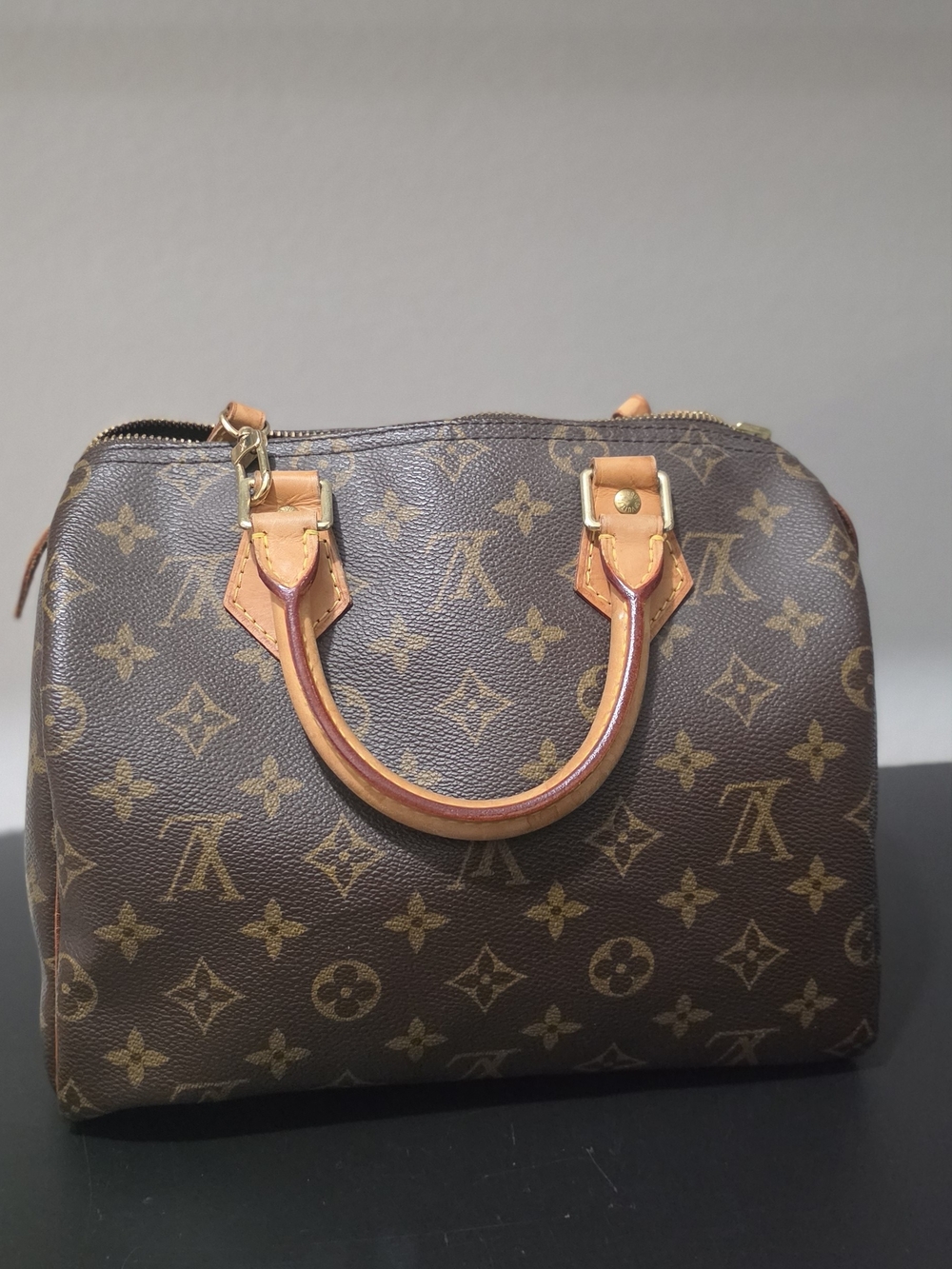 Louis Vuitton Monogram Canvas Speedy 25 Handbag in Brown